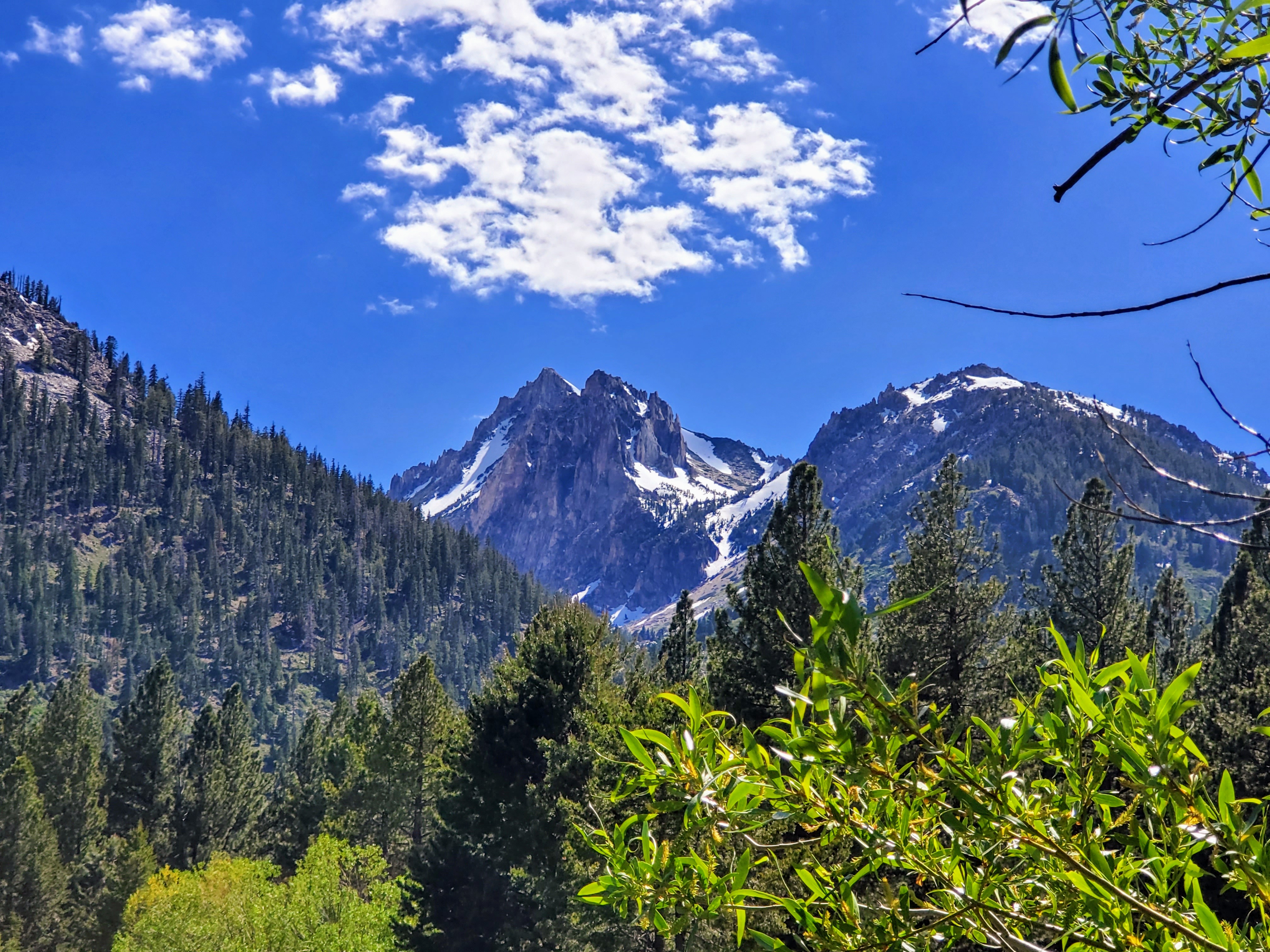 Area around Bridgeport, CA