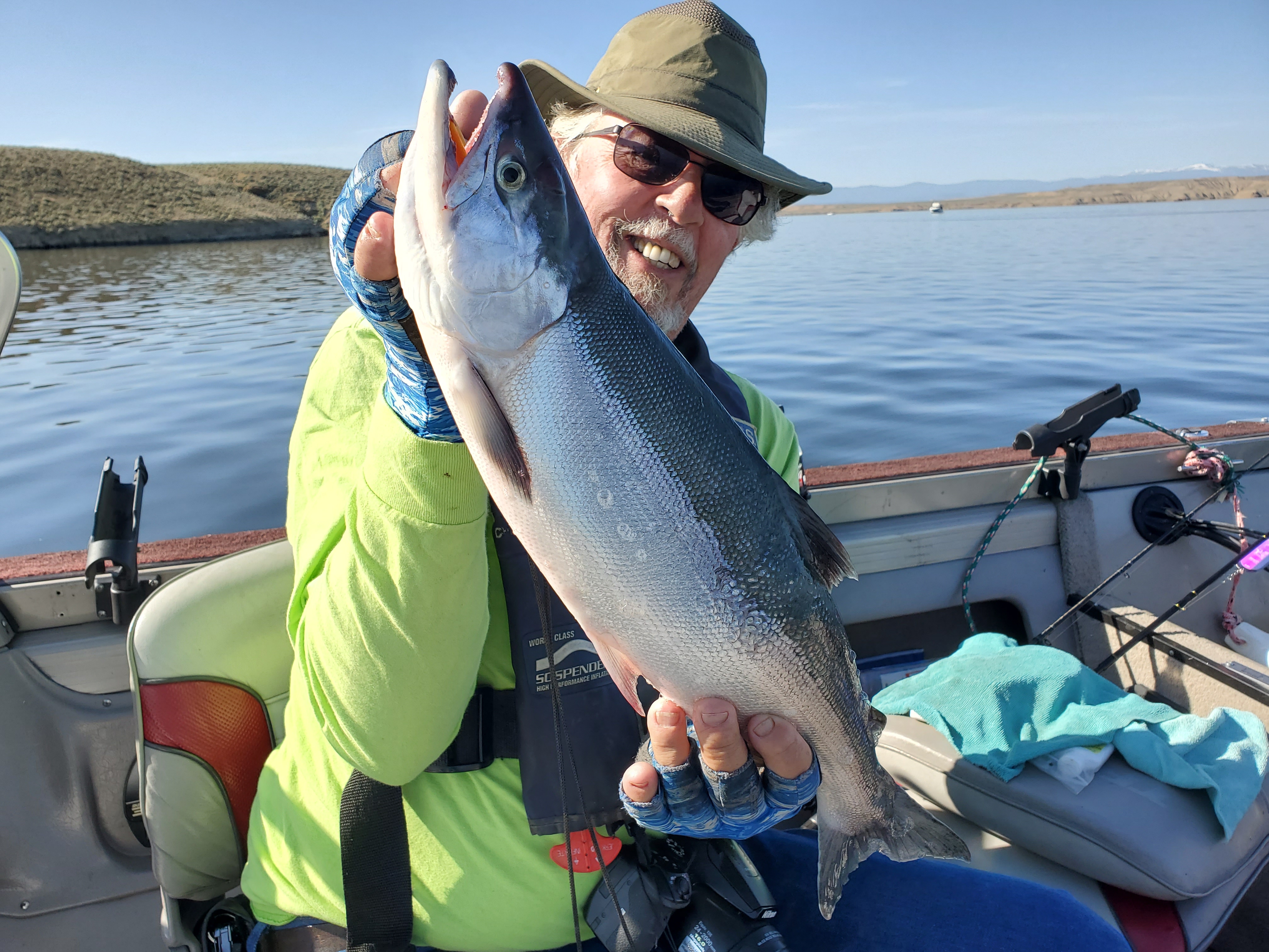 Kokanee Salmon at Flaming Gorge