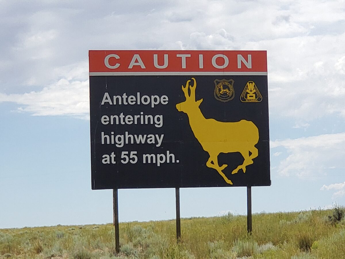 Antelope Entering Highway Sign