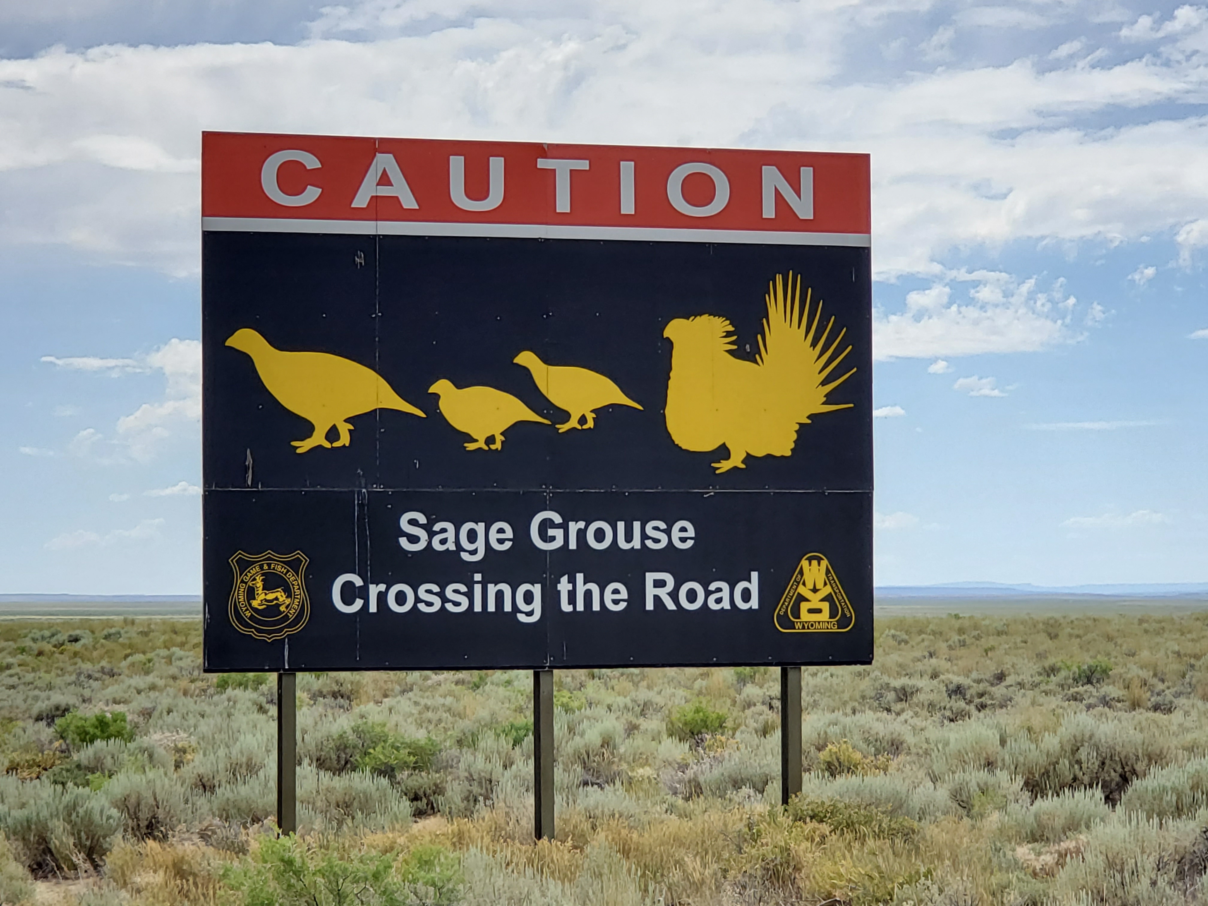 Sage Grouse Crossing Sign