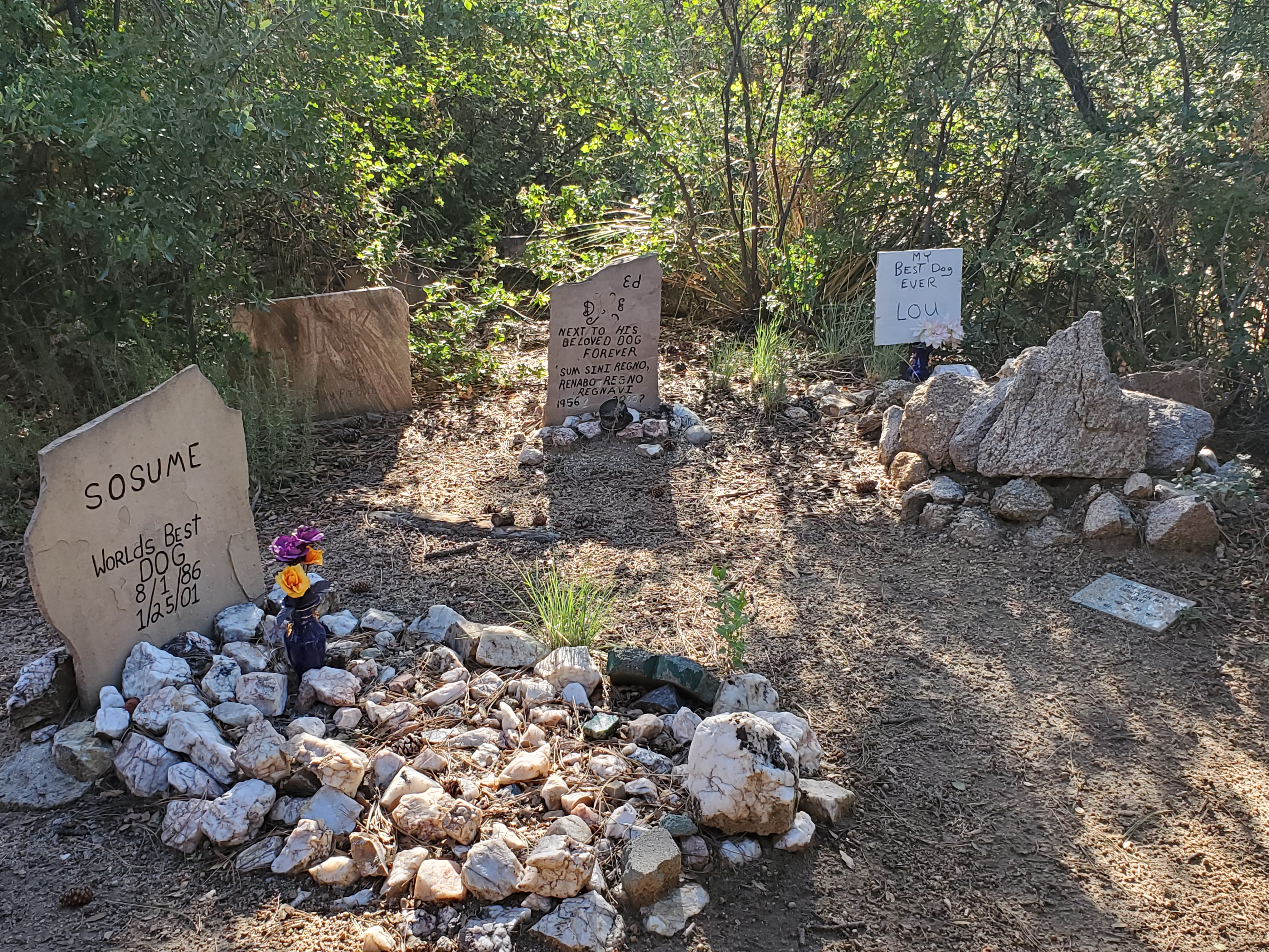 Pet Cemetery at Willow Lake