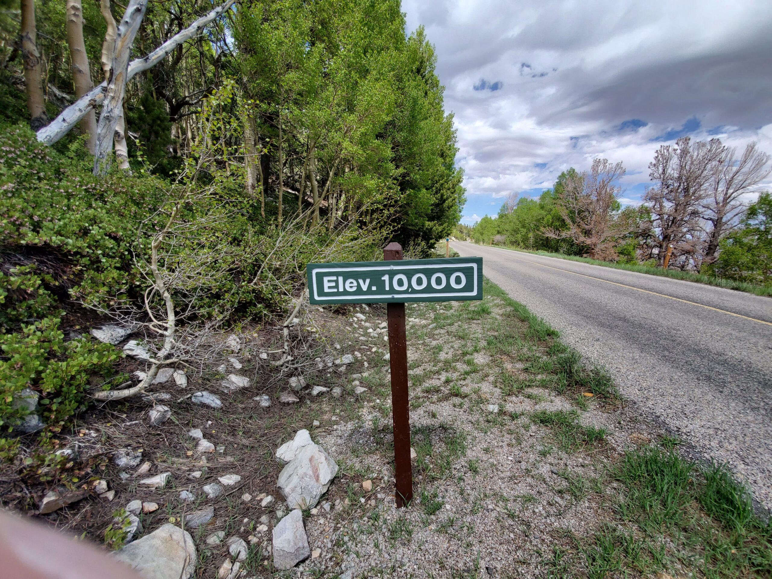 Elev 10000 on Road to Wheeler Peak