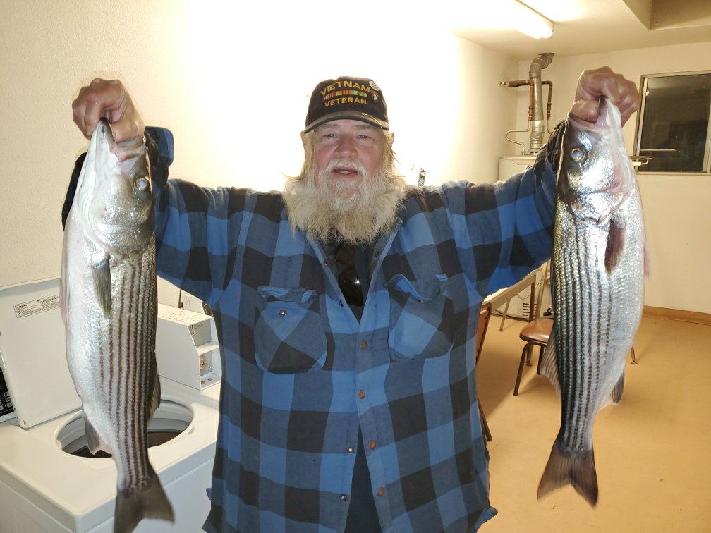 Vietnam Vet and his Stripers