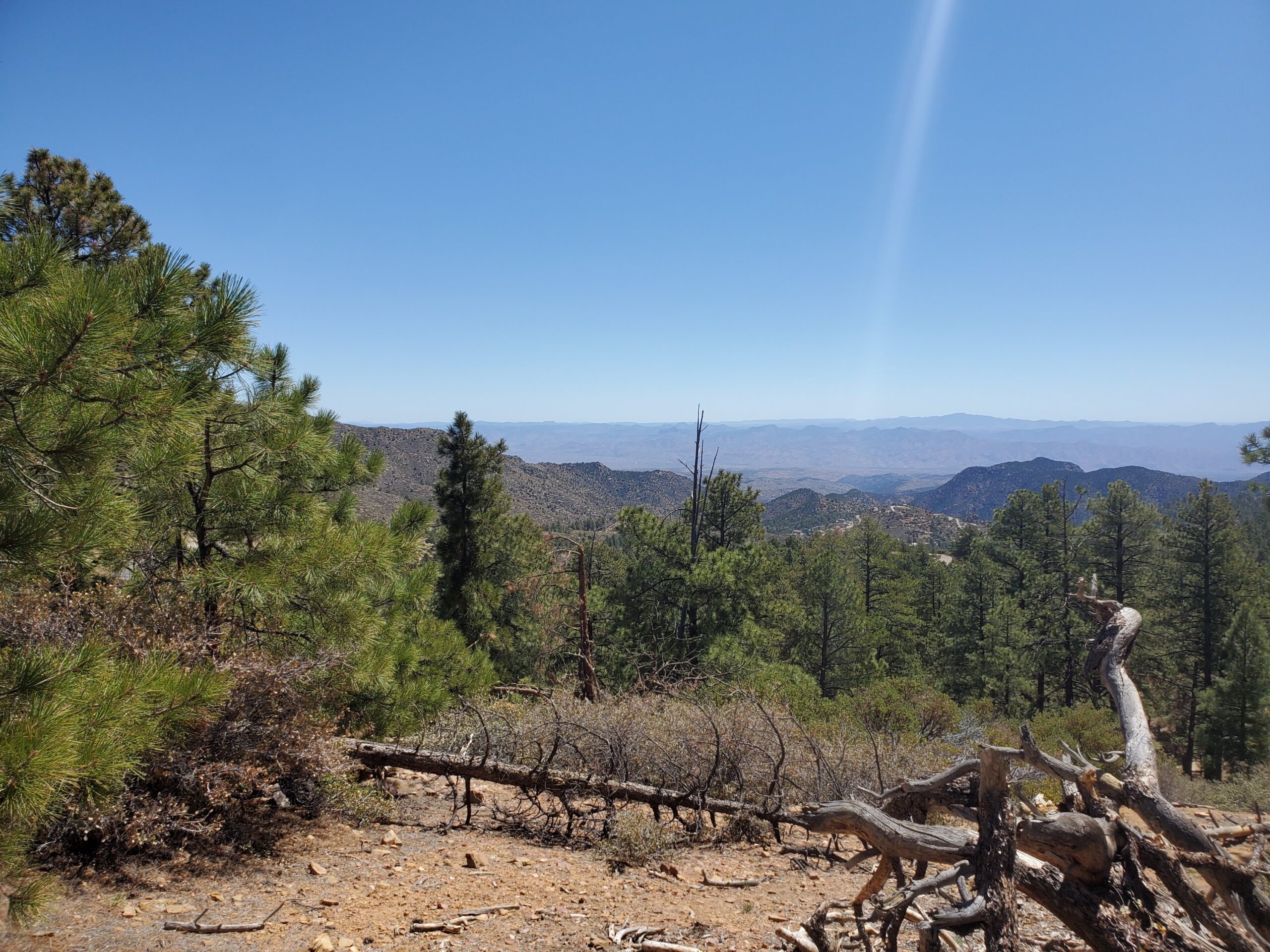 Hualapai Mountain Park