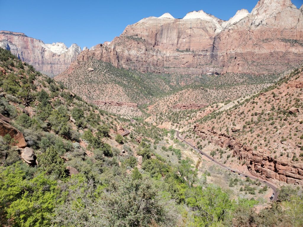 Canyon Overlook in Zion N.P.