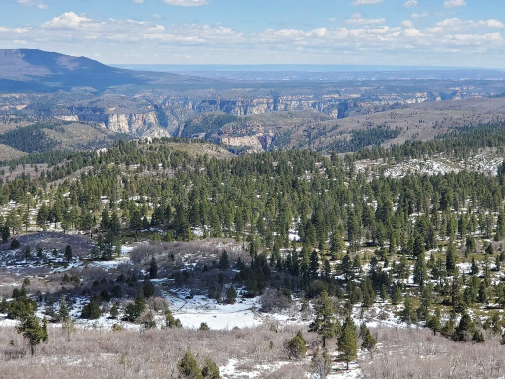 View from Lava Point Overlook, Zion N.P.