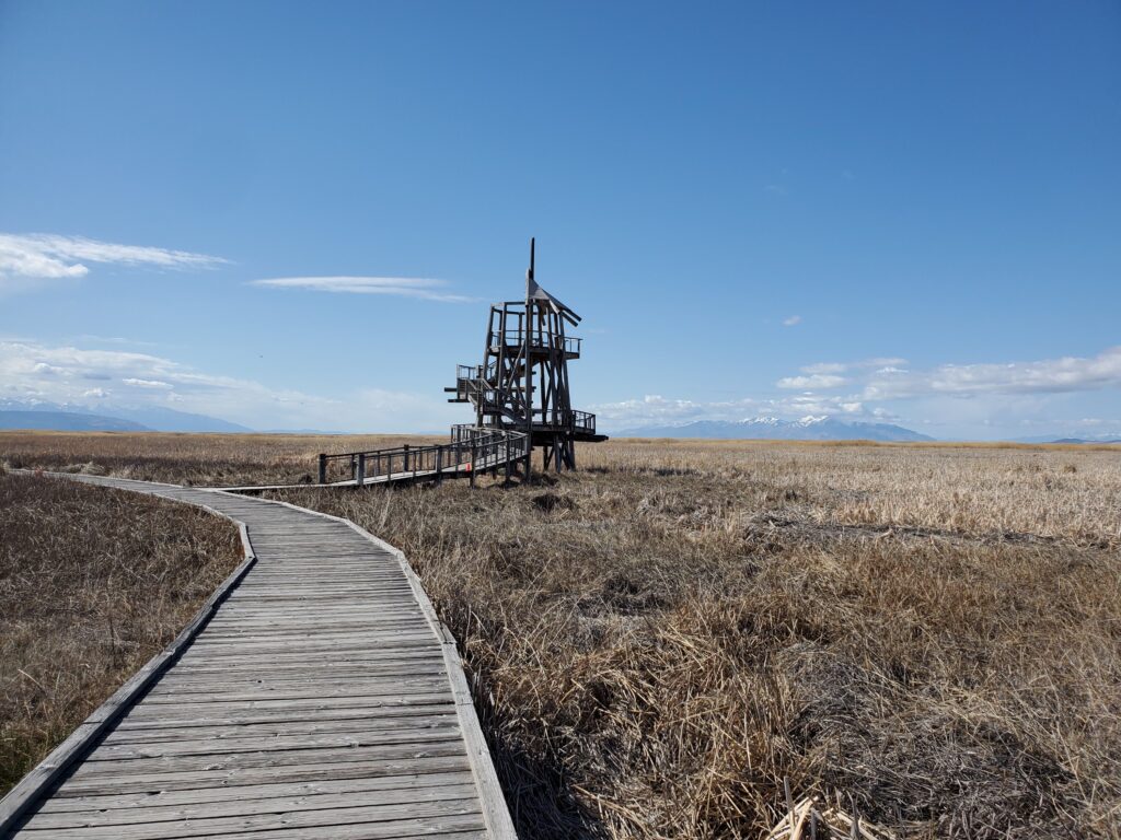 Observation Tower at GSL Shorelands Preserve