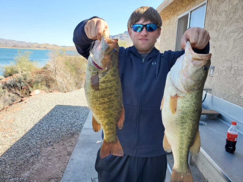 Smallmouth & Largemouth Bass