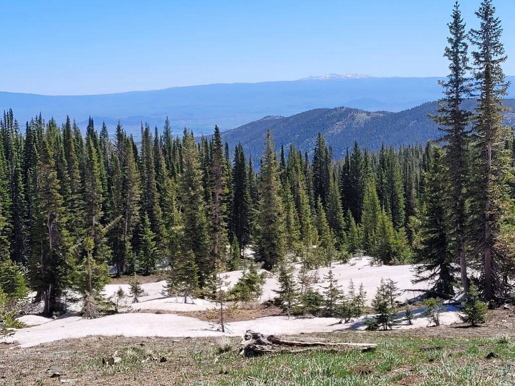 View from Snowy Range Scenic Byway, WY