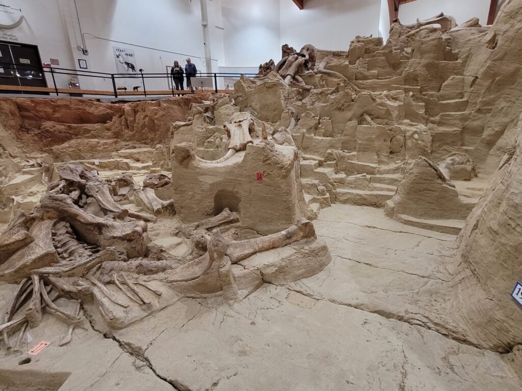 Mammoth Site at Hot Springs SD