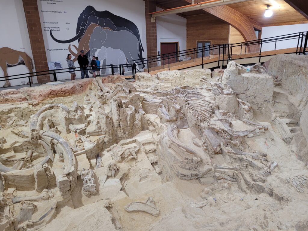 Mammoth Site, Hot Springs SD