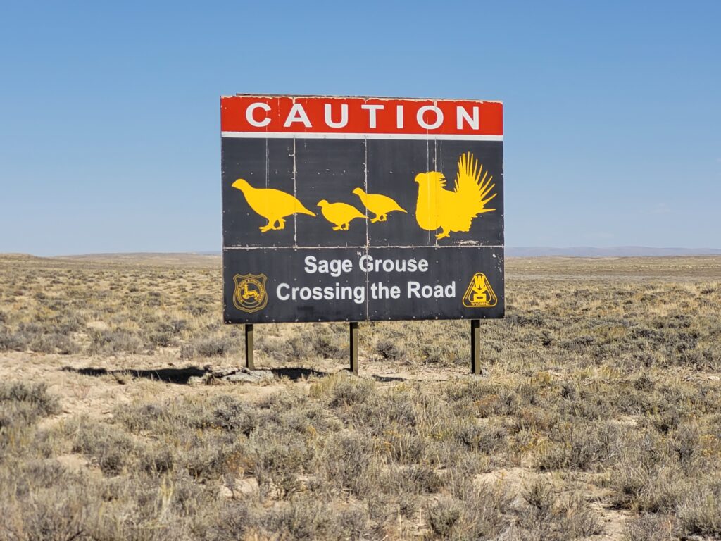 Sage Grouse Warning Sign on Hwy 28, WY