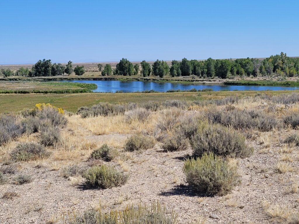 Seedskadee NWR, WY