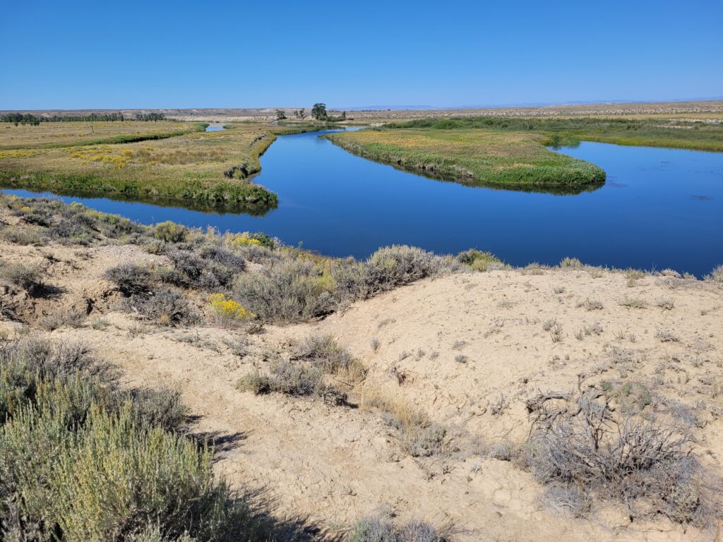 Seedskadee NWR WY