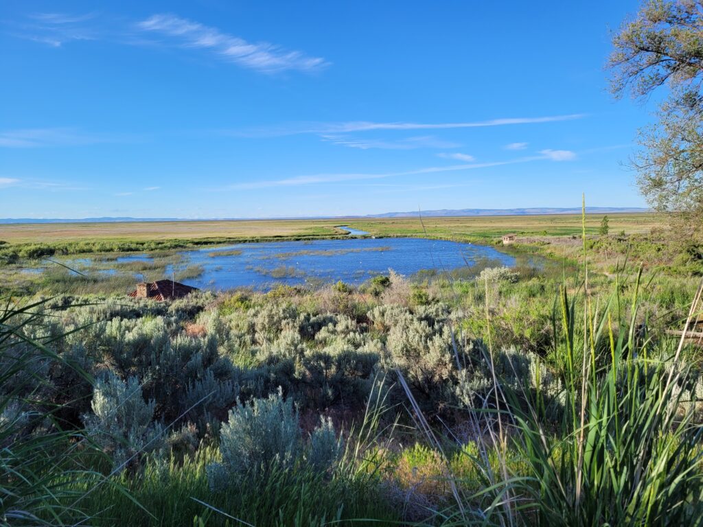 Malheur Lake, Malheur NWR, Oregon