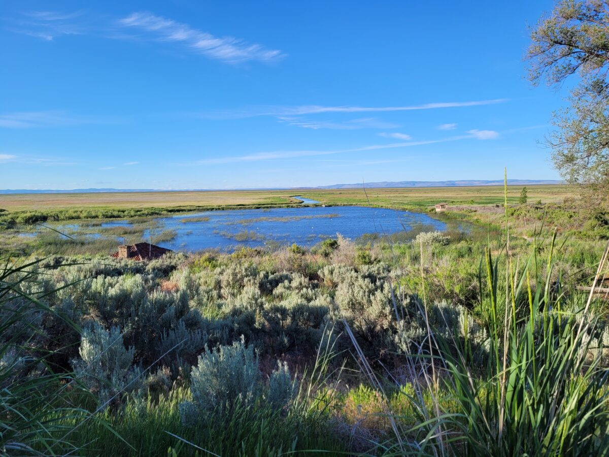 lake Malheur at Malheur NWR Oregon